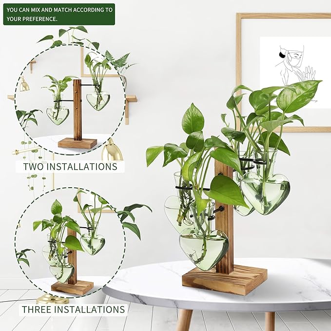 Plants Propagation Stations Plant Terrarium Kit Glass Planters - Image 5
