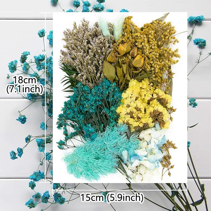 Vignee Real Dried Pressed Leaf Flowers-Multiple Colorful Pressed Flowers Daisies - Image 2