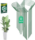 12 Pack 30 inch Plant Support Stakes, Heavy-Duty Half Round Peony Support by LKSSZS