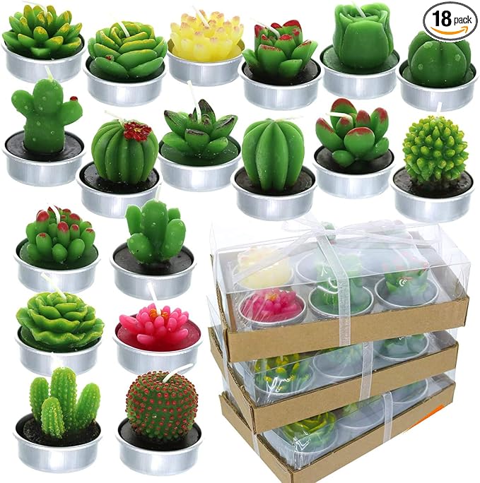 GIFTEXPRESS 18 Pcs Succulent Cactus Candles No Repeat Style, Delicate Smokeless by GIFTEXPRESS