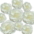 BRT Bearingshui Crepe Paper Flowers Decoration by BRT+Bearingshui