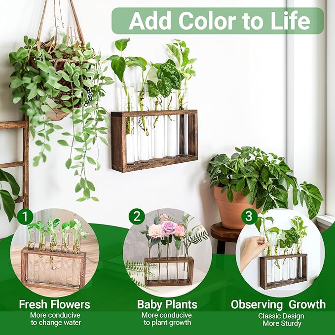 Ivolador Plant Propagation Station Terrariumin Wall Test Tube Vases Bud - Image 2