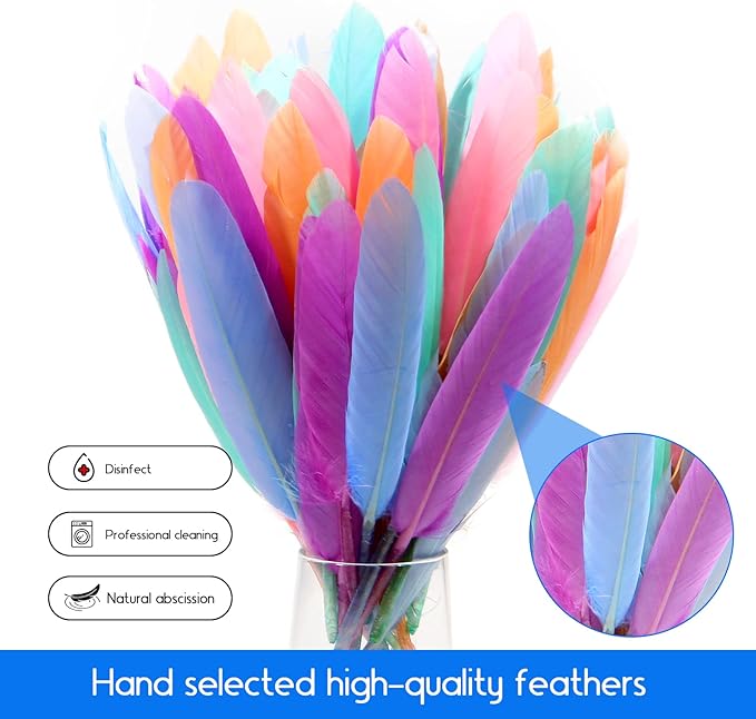 FeelfunFeather 120pcs Macaron Goose Cochettes Feather 4-6 inch 10-15cm Bulk - Image 6