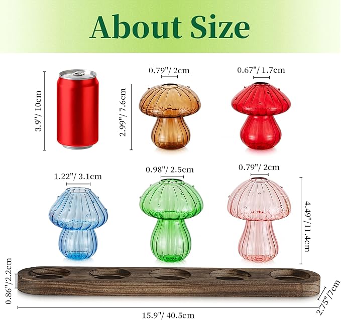 Glass Propagation Station for Plant: Mushroom Planter - Image 5
