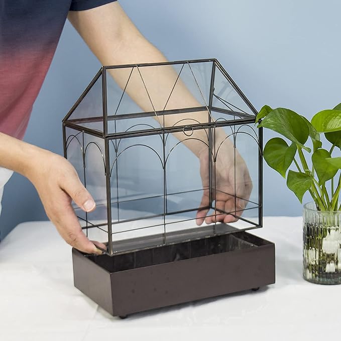 Large Tall Glass Plant Terrarium – House Succulent Terrarium Kit - Image 4