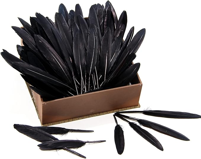 FeelfunFeather 120pcs Black Goose Cochettes Feather Natural Bulk 4-6 inch - Image 4
