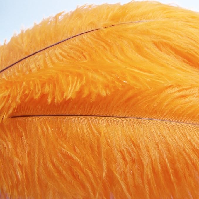 KOLIGHT® 40pcs 12''~14'' Natural Ostrich Feathers - Image 3