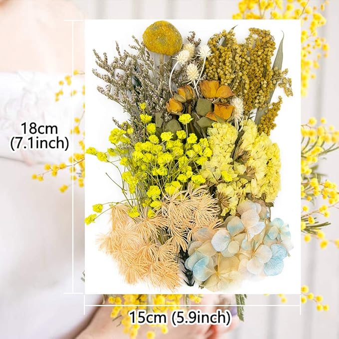 Vignee Real Dried Pressed Leaf Flowers-Multiple Colorful Pressed Flowers Daisies - Image 2