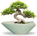 Bonsai Pot - 12 Inch Ceramic Planter Pot by EPFamily
