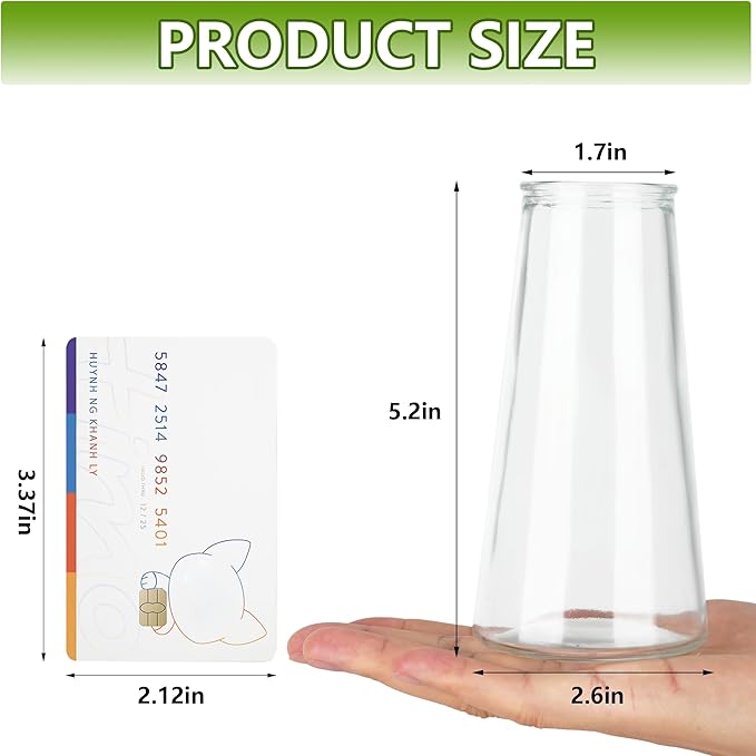 Glass Bud Vases for Centerpieces, Small Flower Vase in Bulk Set of 10, Modern - Image 7