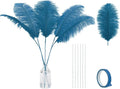 Holmgren Turquoise Ostrich Feathers Bulk by Holmgren
