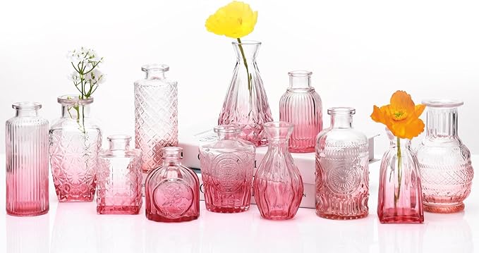 Bud Vases Set of 12, Glass Bud Vases in Bulk, Small Flower Vases by Paudao