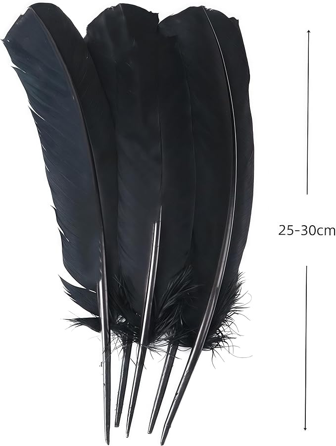 Black Turkey Feathers, Turkish Feather - Image 2