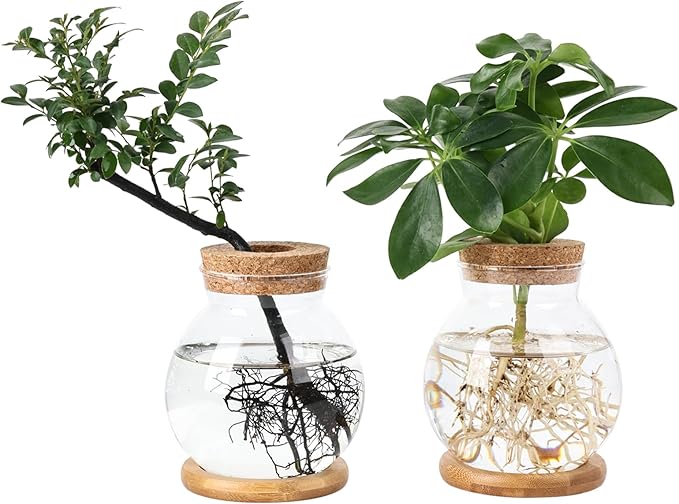 Propagation Station, Larger Capacity Ball Vase by Pechaut