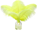 Ballinger Fluorescent Yellow Ostrich Feathers by Ballinger