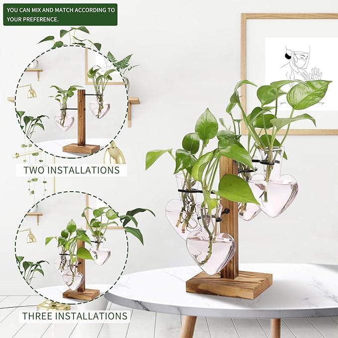 Plants Propagation Stations Plant Terrarium Kit Glass Planters - Image 5
