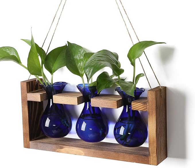 Plant Propagation Station Plant Terrarium Unique Birthday Gifts by Unknown