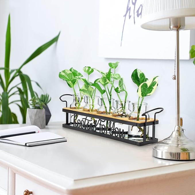 THYGIFTREE Plant Propagation Stations, Mothers Day Plant Lover Gifts - Image 5