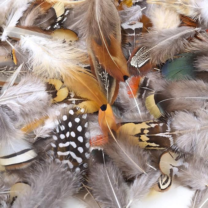 Ballinger 240pcs 12 Styled Natural Feathers Assorted Mixed Feathers - Image 3