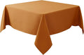Biscaynebay Fall Tablecloth Textured Fabric Square Tablecloths 54x54 Inch by Biscaynebay