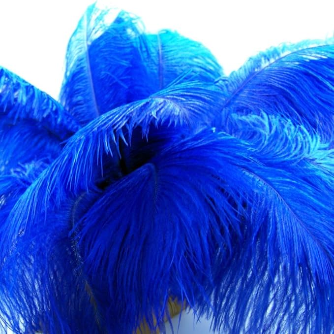 KOLIGHT® 40pcs 12''~14'' Natural Ostrich Feathers - Image 2
