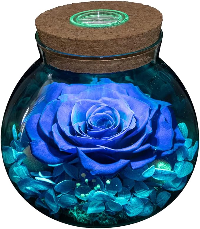 Preserved Real Roses with Colorful Mood Light Wishing Bottle, Eternal by roliys