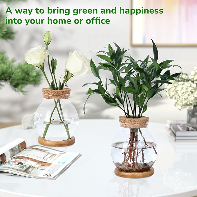 Propagation Station, Larger Capacity Ball Vase - Image 7