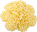 U'Artlines 10 Heads Artificial Peony Silk Flower Leaf Home Office Wedding Party by UArtlines