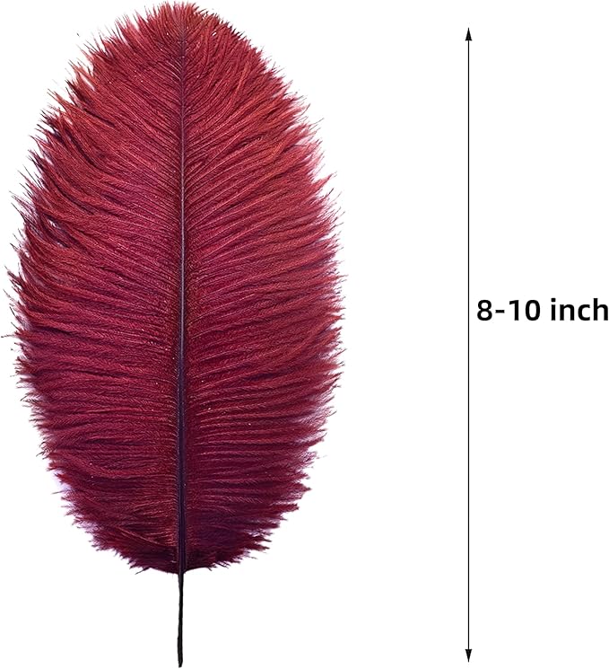 Ballinger Big Burgundy Ostrich Feathers - Image 3