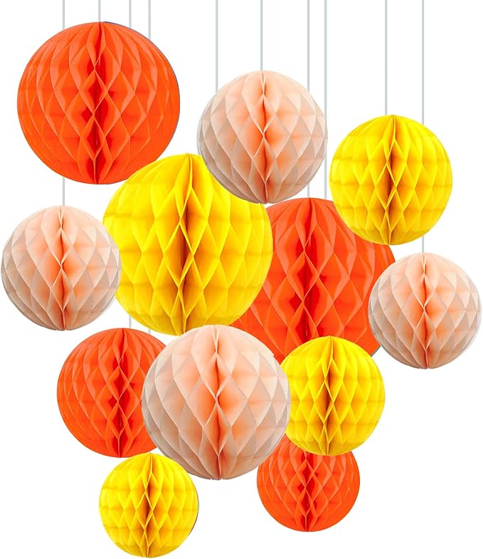 ZOOYOO 12Pcs 6" 10" Honeycomb Balls Decorations Hanging Tissue Paper Pom Poms by ZOOYOO