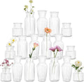 Modern Clear Glass Vase Set by SUJUN