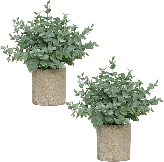 2 Pack Small Fake Plants, Artificial Eucalyptus by Unknown