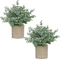 2 Pack Small Fake Plants, Artificial Eucalyptus by Unknown