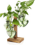 Plants Propagation Stations Plant Terrarium Kit Glass Planters by CYZglass