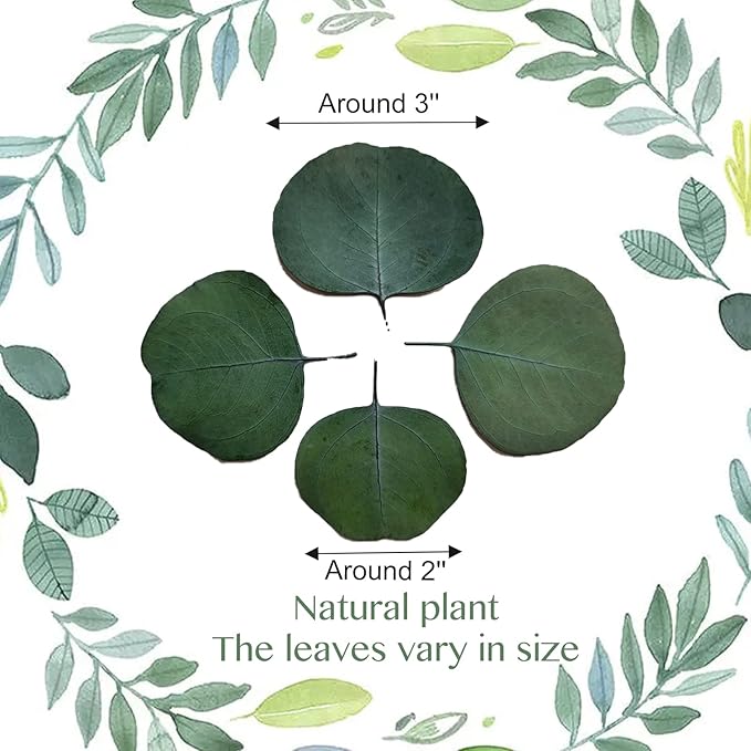 Eucalyptus Leaves, Rustic Boho Wedding Table Decor, 100% Natural Preserved - Image 2