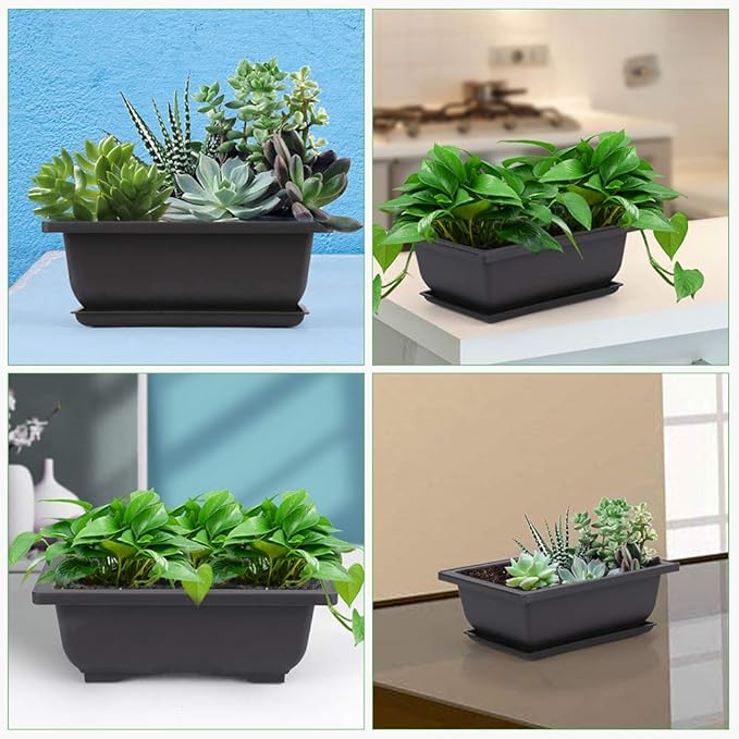 GROWNEER 6 Packs 6.5 Inch Bonsai Training Pots - Image 6