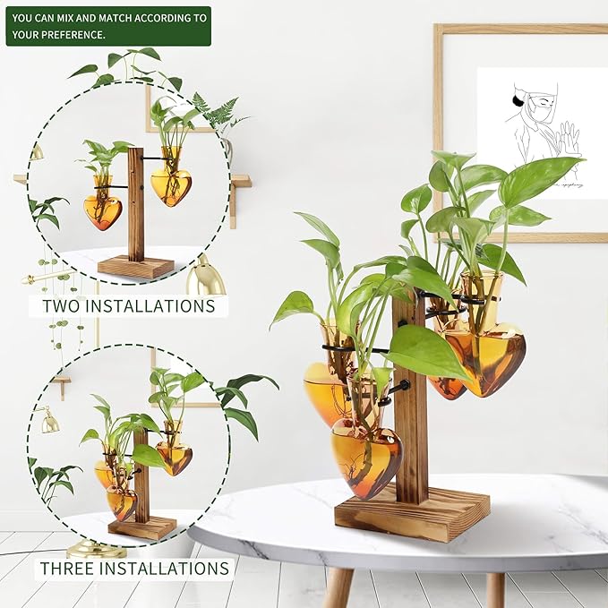 Plants Propagation Stations Plant Terrarium Kit Glass Planters - Image 5