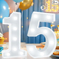 Pooqla 15th Birthday Decoration by Pooqla