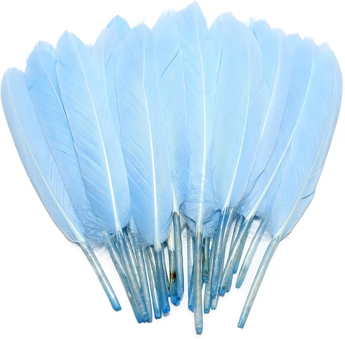 FeelfunFeather 120pcs Sky Blue Goose Cochettes Feather Natural Bulk 4-6 inch by FeelFunFeather