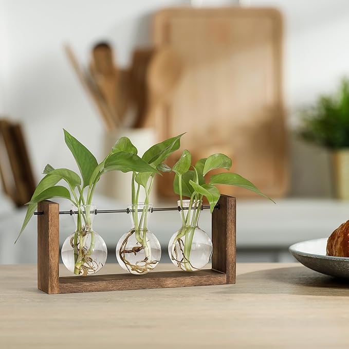 YIBOT Plants Propagation Stations, Plant Terrarium - Image 4