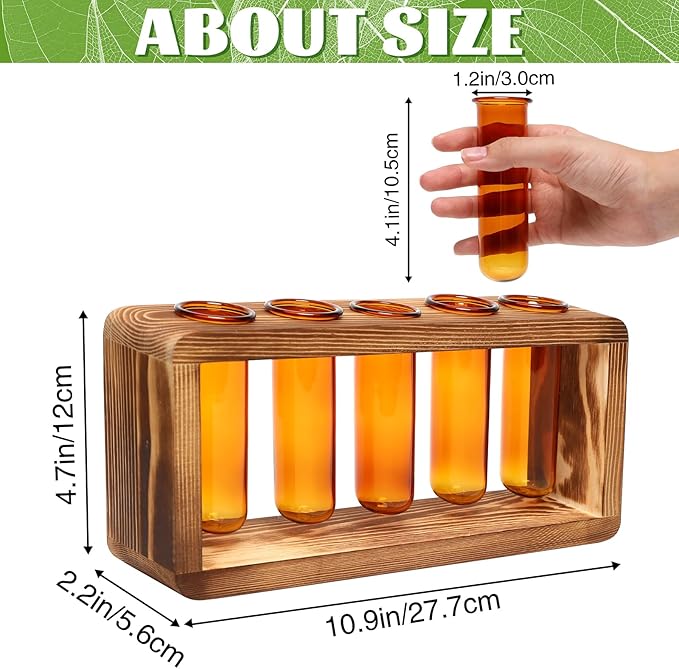 Glass Plant Propagation Station - Image 2
