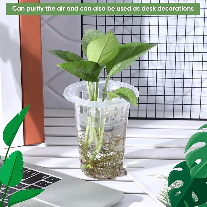 Baderke 35 Pack Plastic Plant Propagation Station Desktop Terrariums Plant - Image 4