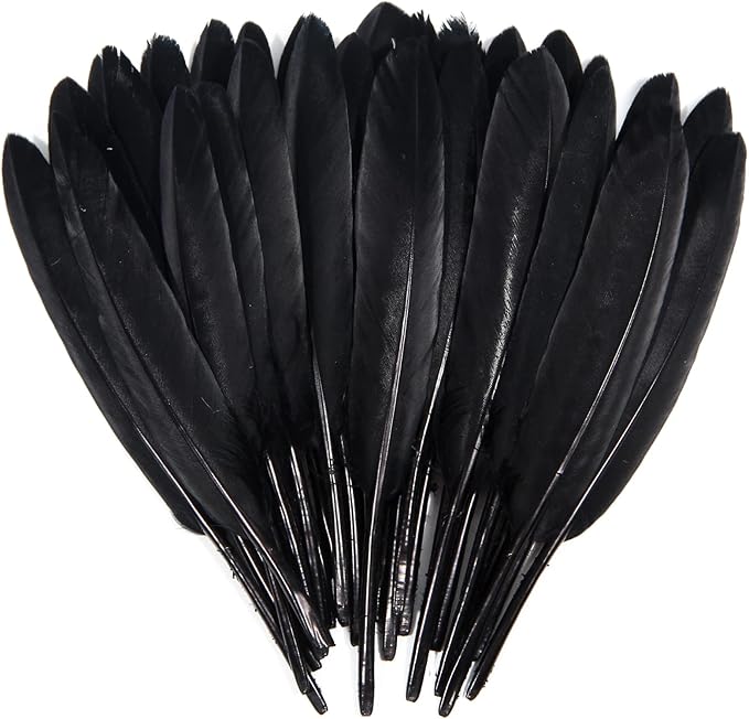 FeelfunFeather 120pcs Black Goose Cochettes Feather Natural Bulk 4-6 inch by FeelFunFeather