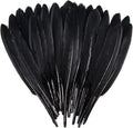FeelfunFeather 120pcs Black Goose Cochettes Feather Natural Bulk 4-6 inch by FeelFunFeather