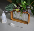 Source & Plot - Plant Propagation Station - Acacia Wood Stand 4 Glass Test Tube by Unknown