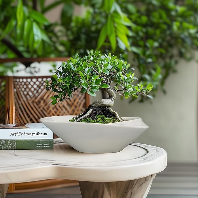 Bonsai Planter Pot - Image 2