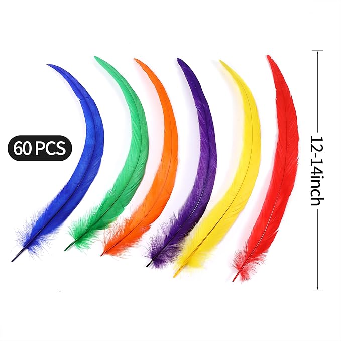 Holmgren Colorful Rooster Tail Feathers - Image 4