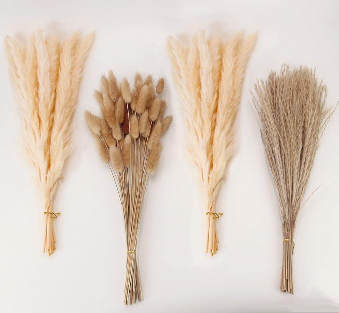 Natural Dried Pampas Grass Decor, Bunny Tails Dried Flowers, Reed Grass Bouquet by ANPROOR