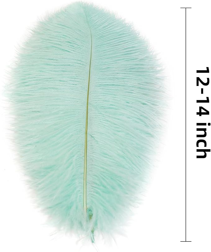 Ballinger Aqua Green Ostrich Feathers - Image 3