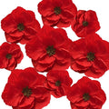 BRT Bearingshui Red Paper Flowers Decoration by BRT+Bearingshui